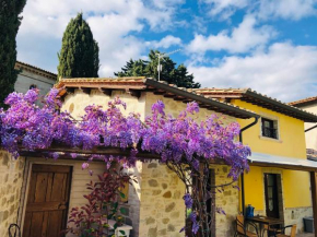 Il Cortile delle Rose Holiday House
